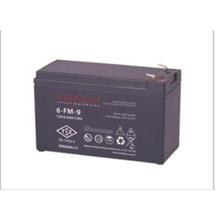 Makelsan 12V 9Ah Tam Bakımsız Kuru Akü