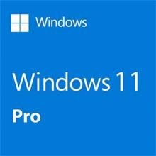 Microsoft Windows 11 Pro HAV-00159 64 Bit Türkçe Kutulu İşletim Sistemi