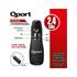 QPORT Q-SUN400 2.4 GHZ USB KIRMIZI LAZERLİ SUNUM KUMANDASI - PRESENTER