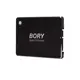 512 GB BORY SATA3 R500-C512G SSD 550/510 MBS (3 YIL GARANTİLİ)